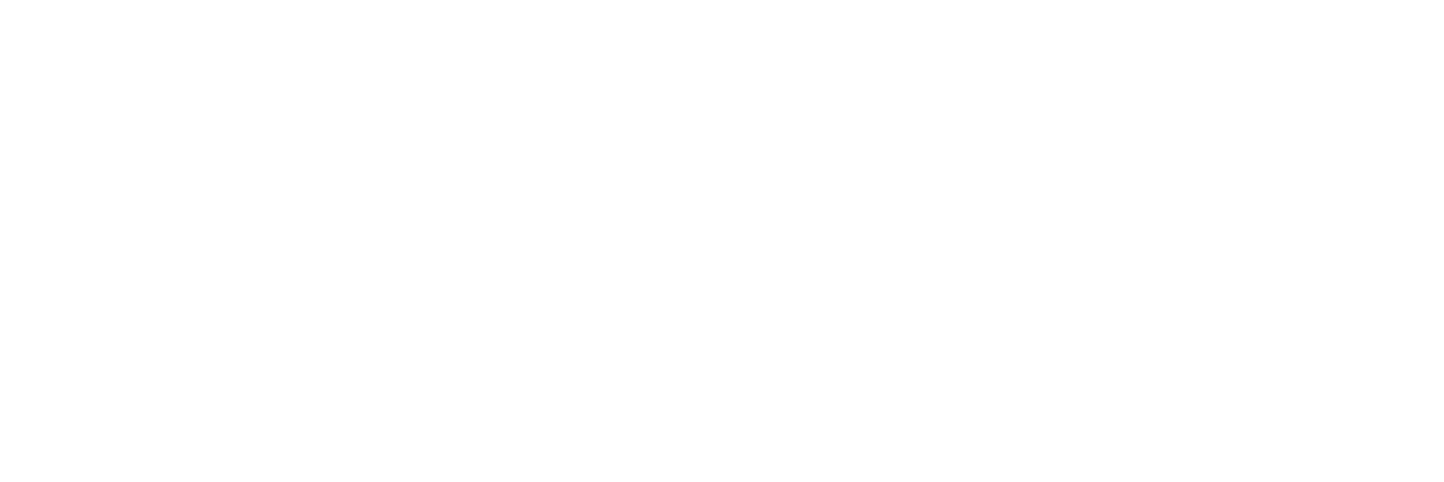 Distribuidora NES